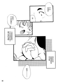 第33页图
