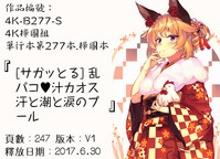 第221頁圖