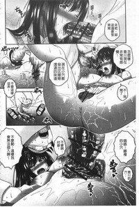 第185頁圖
