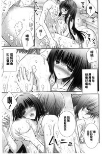 第185頁圖