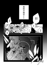 第17頁圖