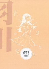 第29頁圖