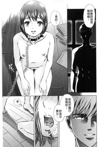 第81頁圖