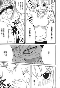 第113頁圖
