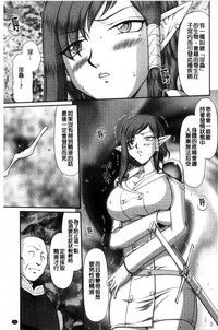 第17页图