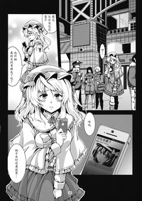 第33页图