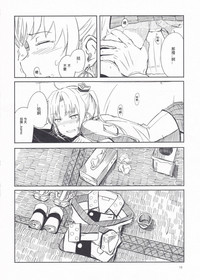 第17页图