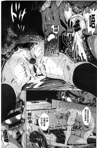 第245頁圖