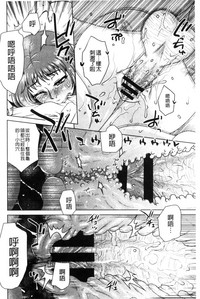第81頁圖