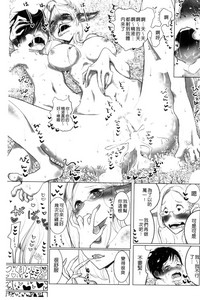 第133頁圖