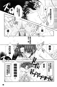 第161頁圖