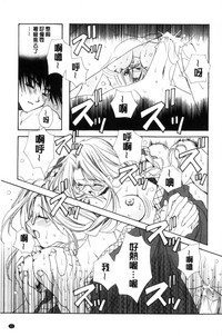 第53頁圖