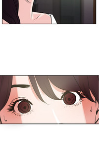 第481頁圖