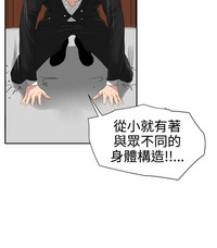 第529頁圖