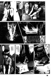 第85頁圖