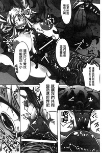 第137頁圖