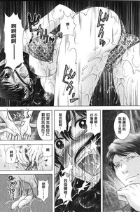 第117頁圖