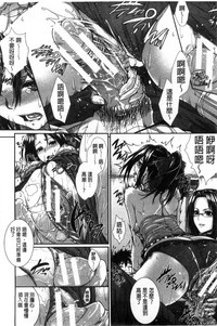 第81頁圖