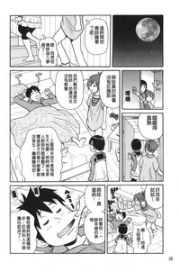 第33页图