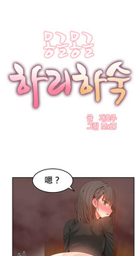 第513頁圖