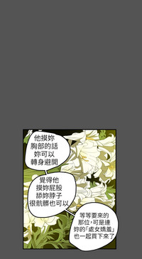 第17页图