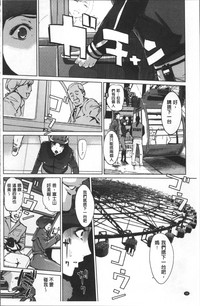 第41頁圖