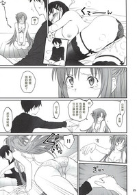 第25頁圖