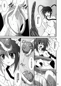 第21頁圖
