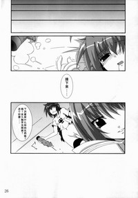 第25頁圖