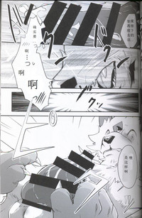 第17頁圖