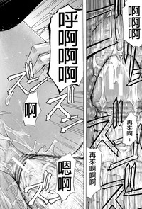 第205頁圖