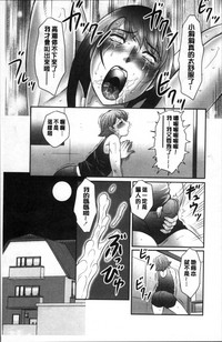 第141頁圖