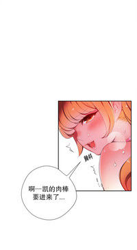 第333頁圖