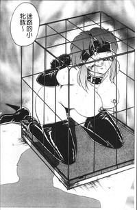 第129页图