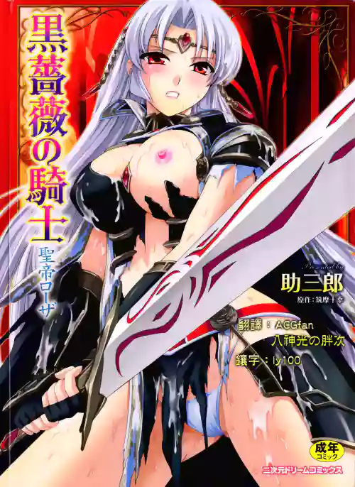黒薔薇の騎士～聖帝ローザ～圖