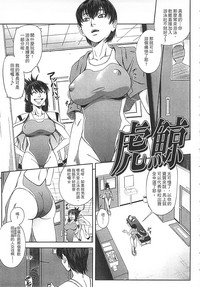 第13頁圖