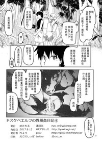 第33頁圖
