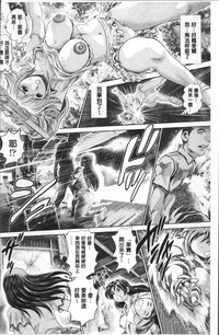 第261頁圖