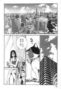 第13頁圖