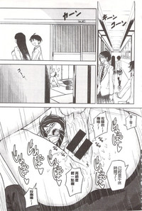 第217頁圖