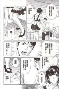 第213頁圖