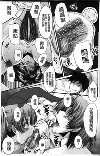 第137頁圖