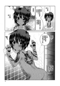 第17頁圖