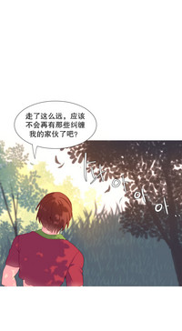 第325頁圖