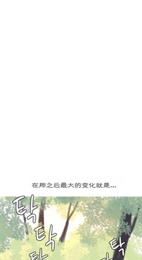 第453頁圖