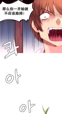 第481頁圖