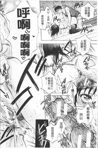 第229頁圖