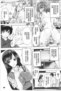 第41頁圖