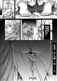 第69頁圖
