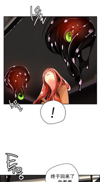 第493頁圖
